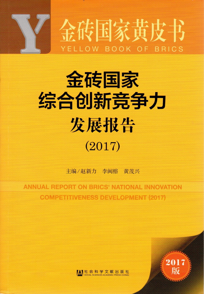 少萝自慰视频直接看金砖国家综合创新竞争力发展报告（2017）